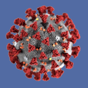 Corona-Virus (Symbolbild)